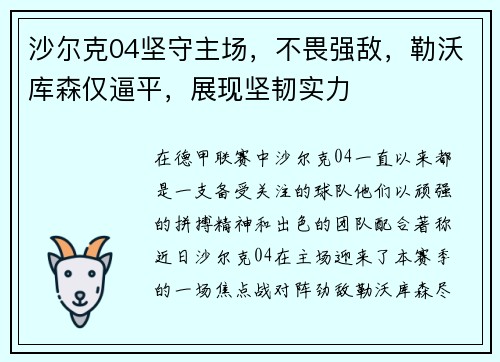 沙尔克04坚守主场，不畏强敌，勒沃库森仅逼平，展现坚韧实力