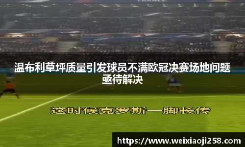 温布利草坪质量引发球员不满欧冠决赛场地问题亟待解决